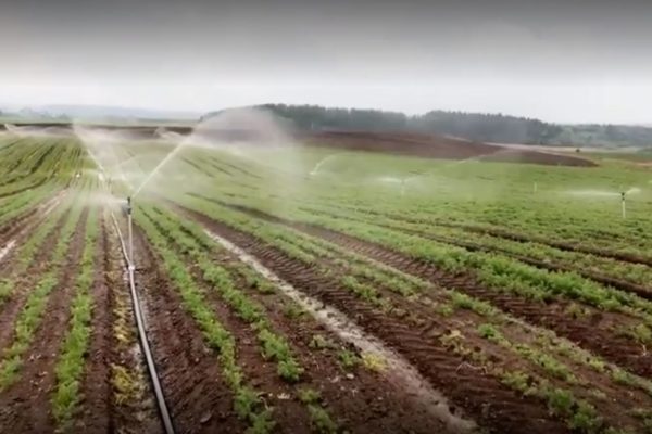Irrigation & Irrigation Lagoons