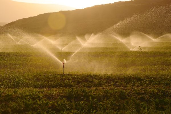 Irrigation in a field