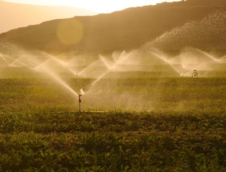 Irrigation in a field