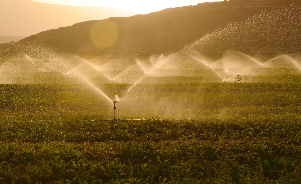 Irrigation in a field