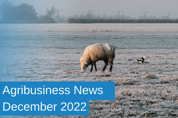 Agribusiness News December Main