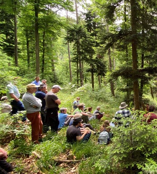 group of people among conifer trees