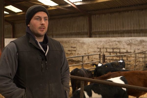 Picture of William McHarrie standing in front of a pen of dairy calves