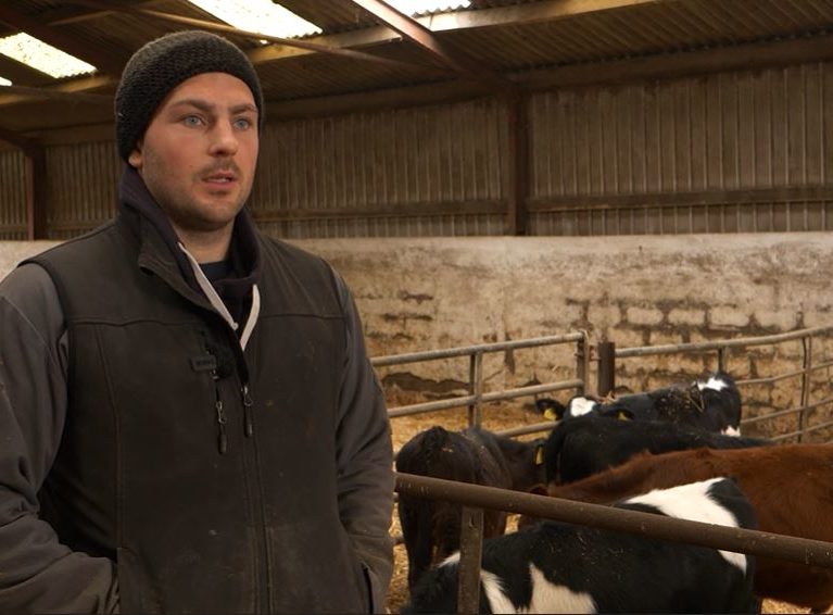 Picture of William McHarrie standing in front of a pen of dairy calves