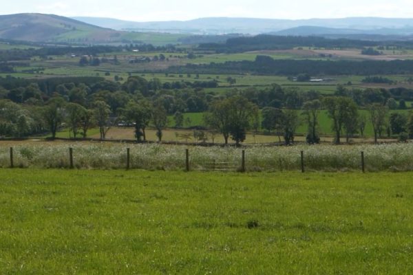 View of fields and hills