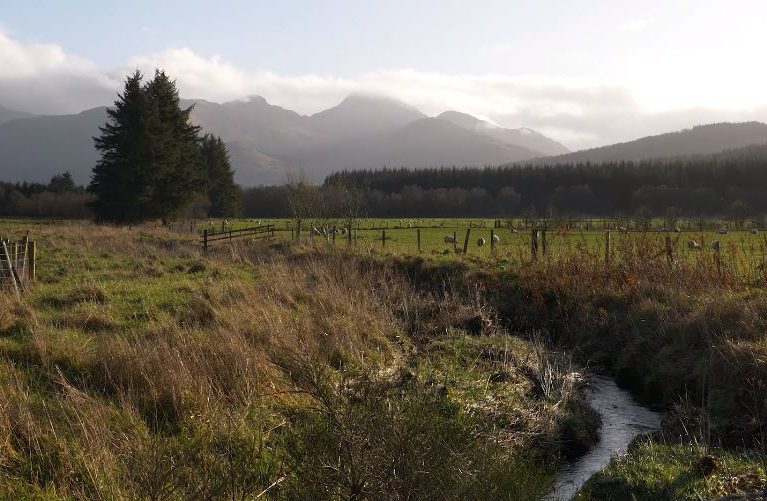 River running next to a field