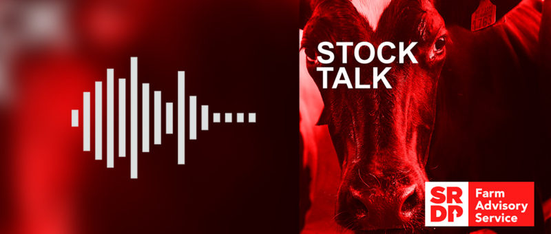 Stock Talk