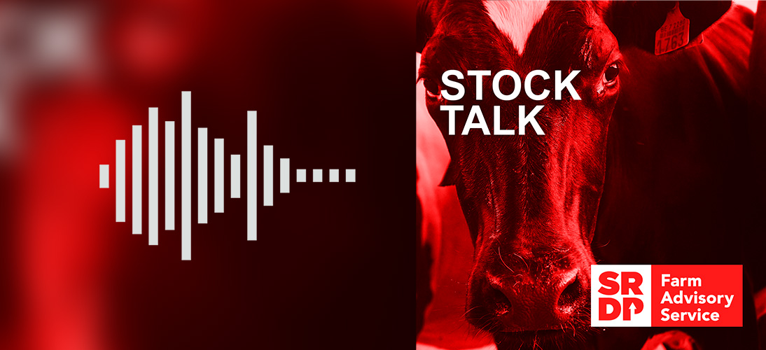 Stock Talk