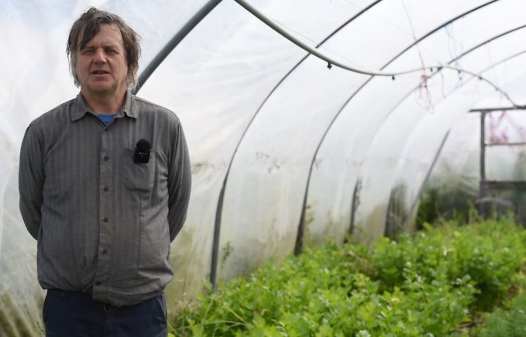 Man standing in a polytunnel