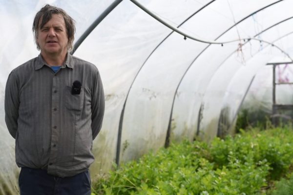 Man standing in a polytunnel