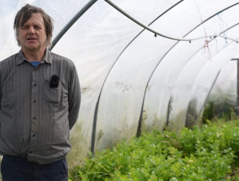 Man standing in a polytunnel
