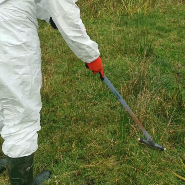 Spraying weeds