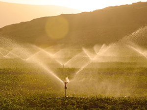 Water irrigator in a field