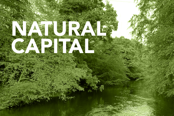 Natural Capital Podcast Series