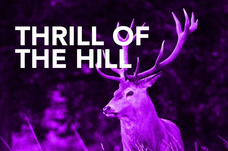 Thrill of the Hill thumbnail featuring a stag