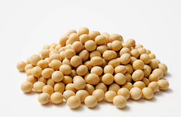 Pile of soya beans