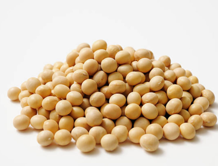 Pile of soya beans