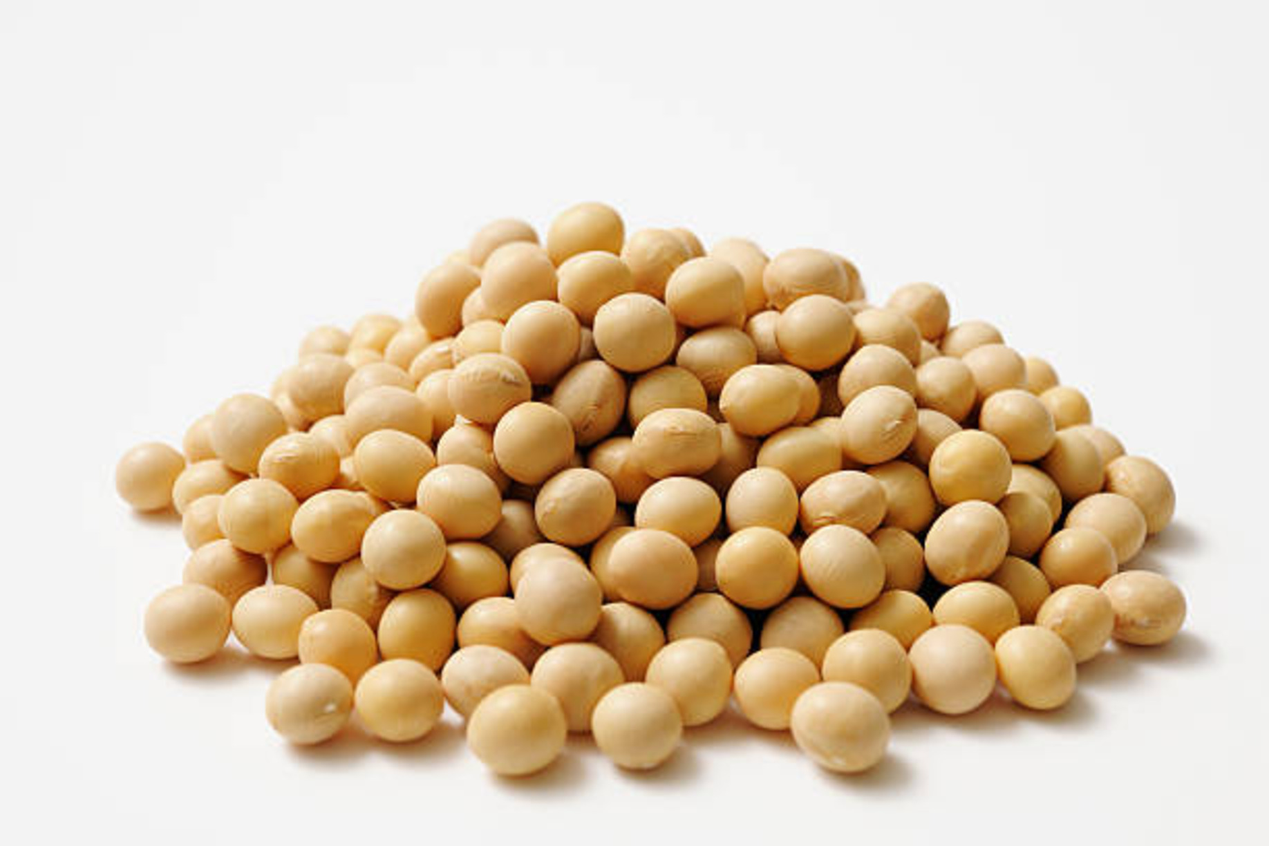 Pile of soya beans