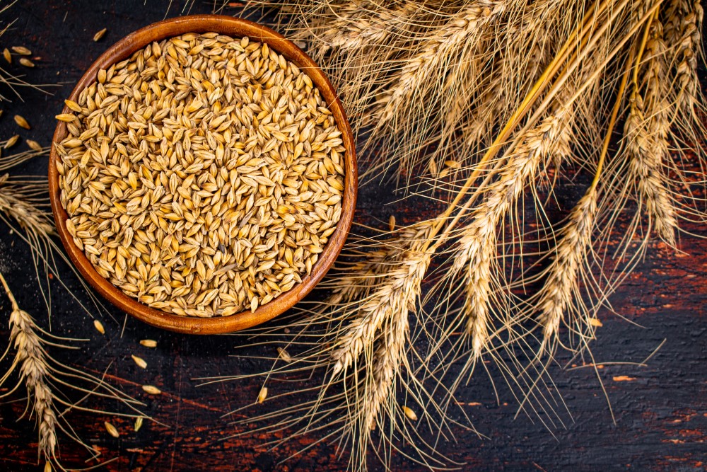 wooden plate with barley