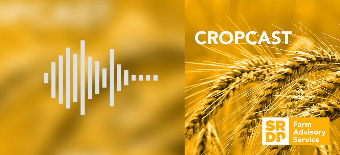 CropCast