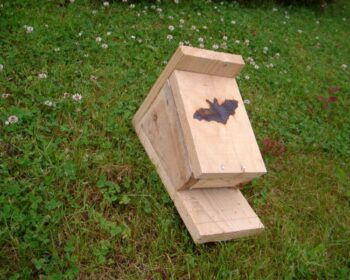 A simple home-made bat box ready to be installed