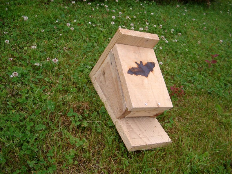 A simple home-made bat box ready to be installed