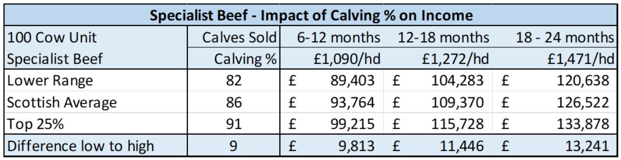 FSB Beef Table 1