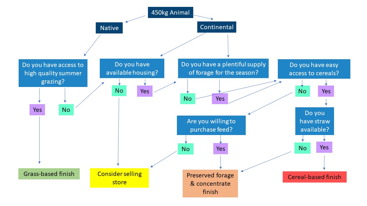 Flowchart_FAS branding2 Flowchart_FAS branding2