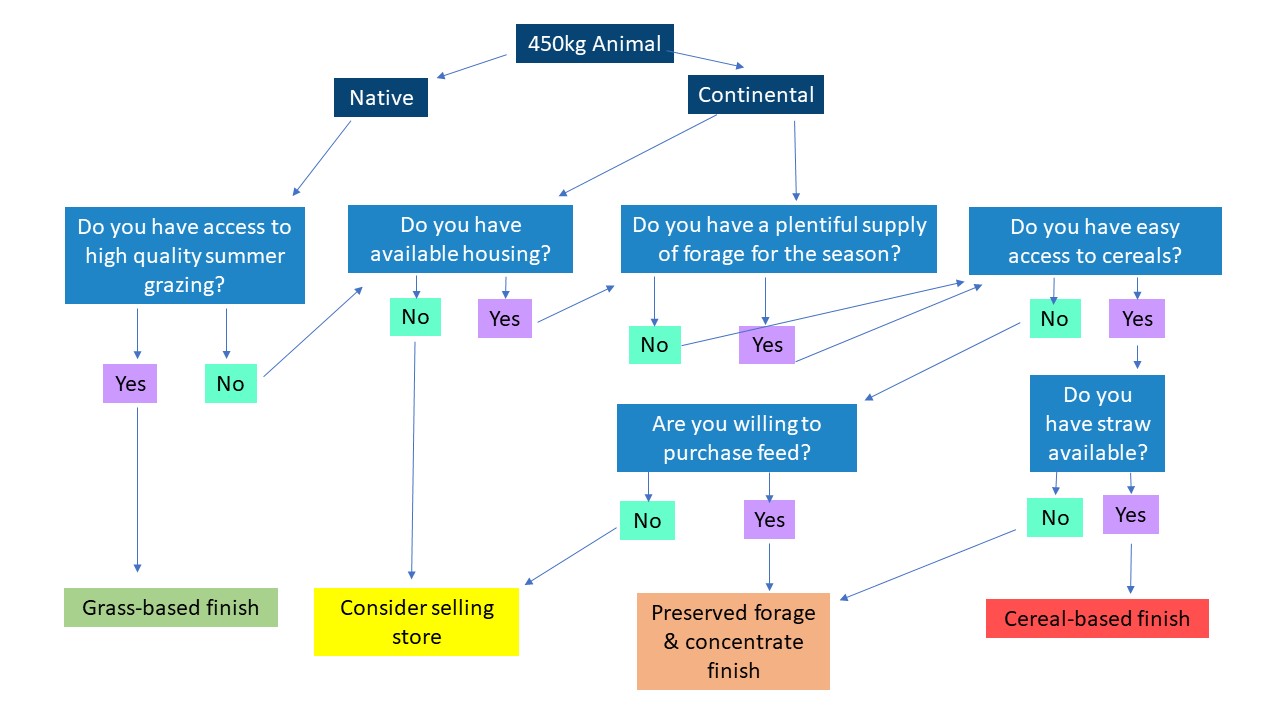 Flowchart_FAS branding2