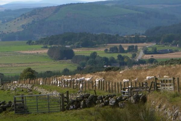 Knock Farm _ Landscape _ Tile