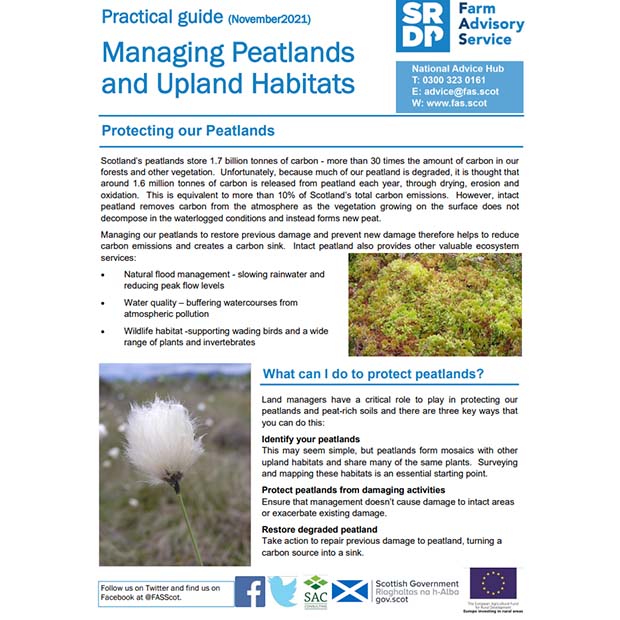 Managing Peatlands