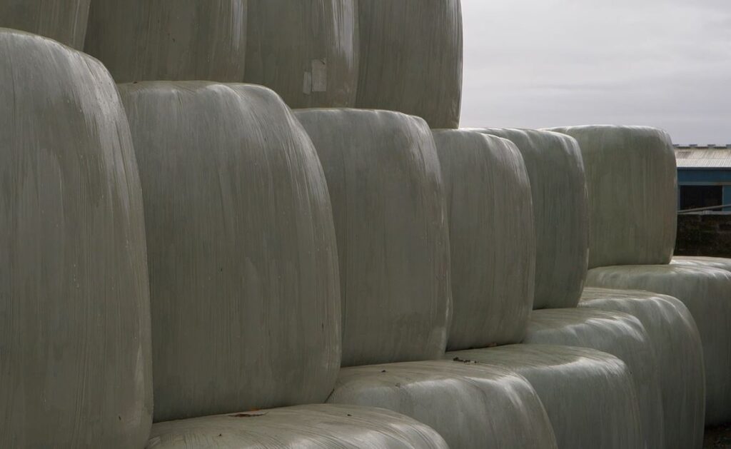 Silage bales wrapped and stacked
