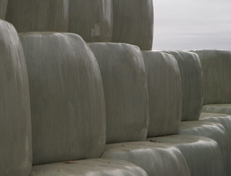 Silage bales wrapped and stacked