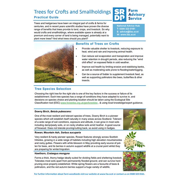 Trees For Crofts And Smallholdings