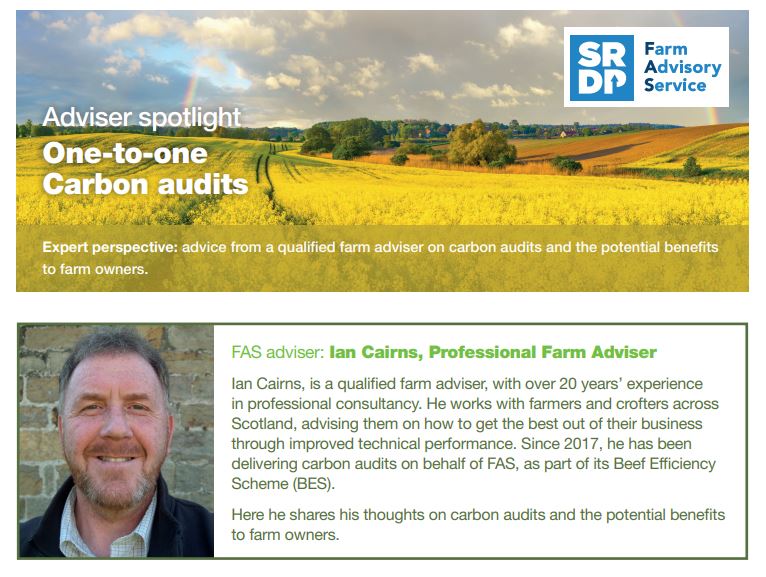 adviser spotlight carbon audits