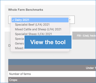 View the Wholefarm Benchmarks Tool