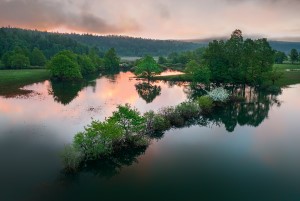 flooded countryside tile