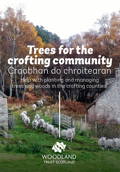 Trees for the Crofting Community leaflet