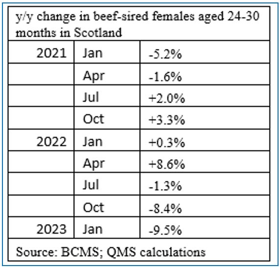 ABNMay_Beef-Sired Females