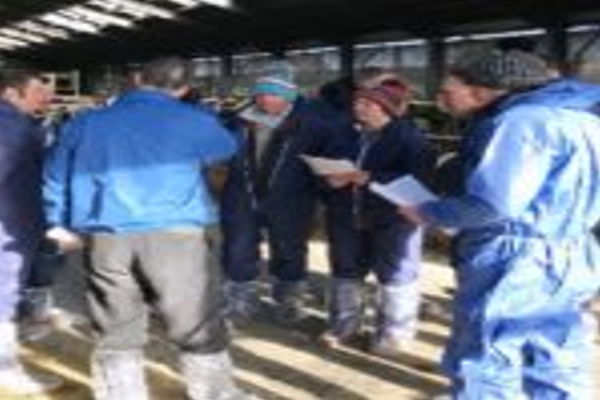 South West Dairy Focus Group