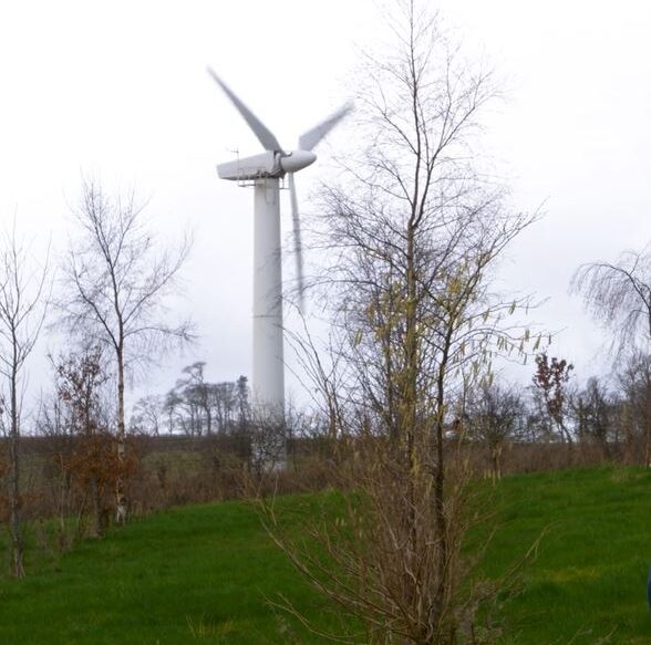 Wind Turbine in field