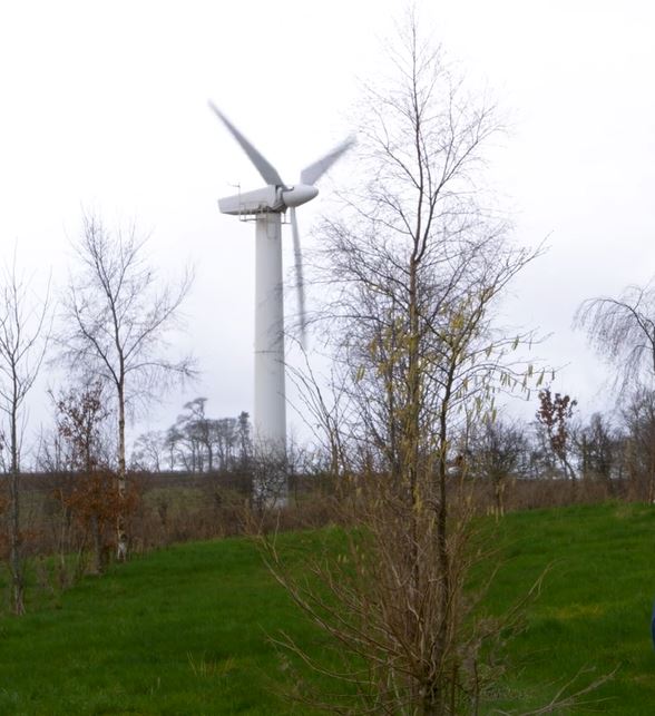 Wind Turbine in field