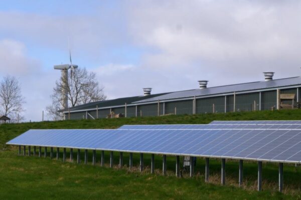 Solar Panels in a field