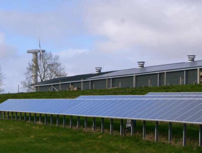 Solar Panels in a field