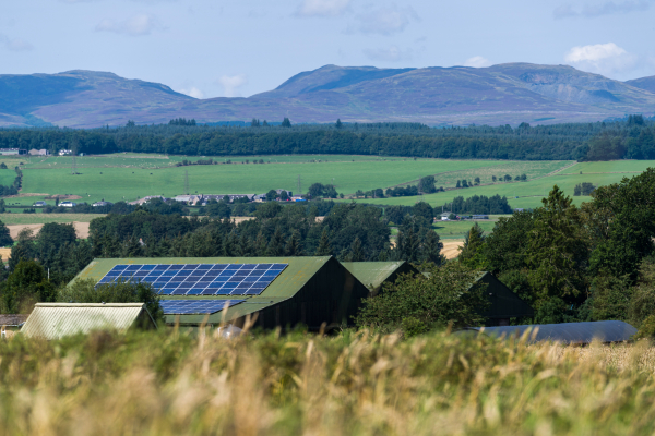 Solar panels on a shed roof