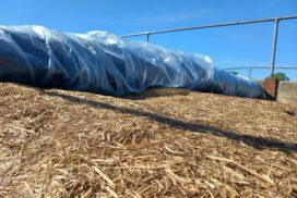 Use of an oxygen barrier film beneath the plastic top sheet, resulting in little to no waste on top of the clamp.