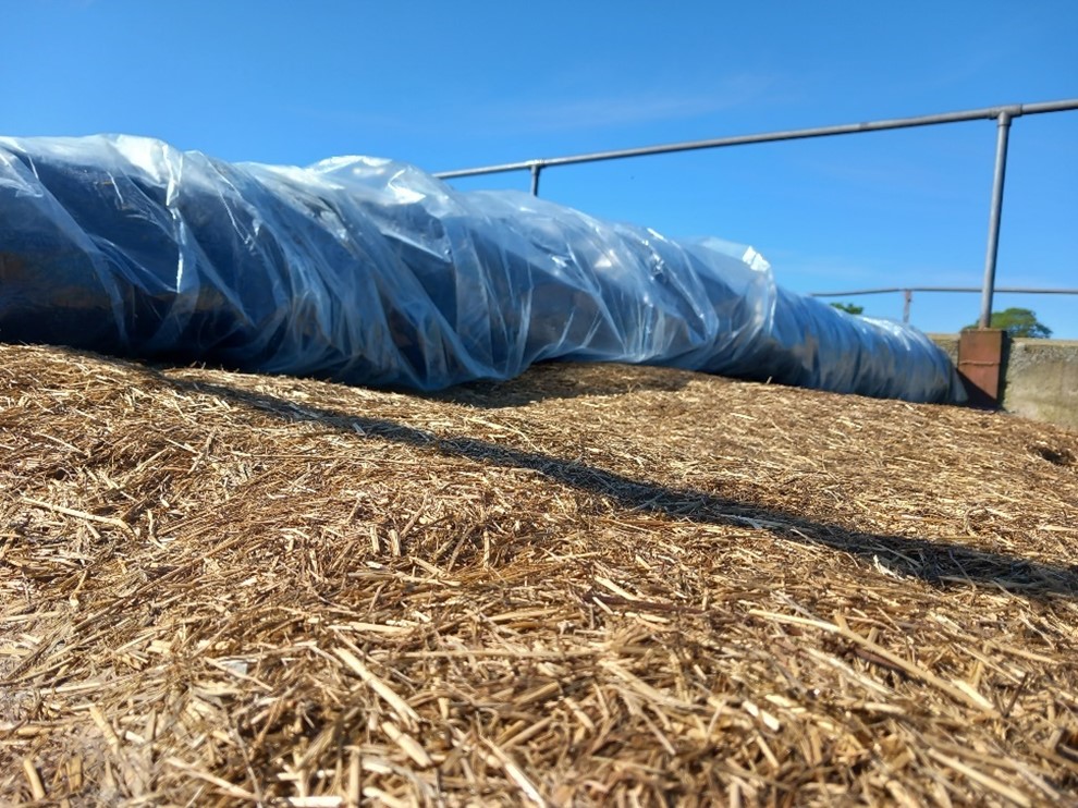 Use of an oxygen barrier film beneath the plastic top sheet, resulting in little to no waste on top of the clamp.