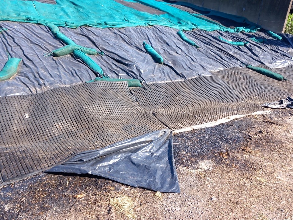 A good example of the front edge of the silage clamp being well sealed and weighed down.