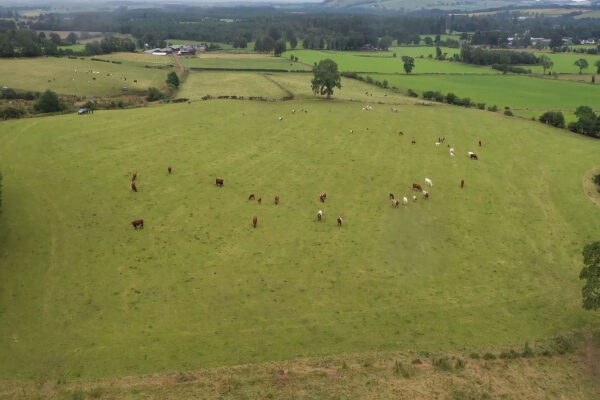 Carbon Tool for Beef Farmers