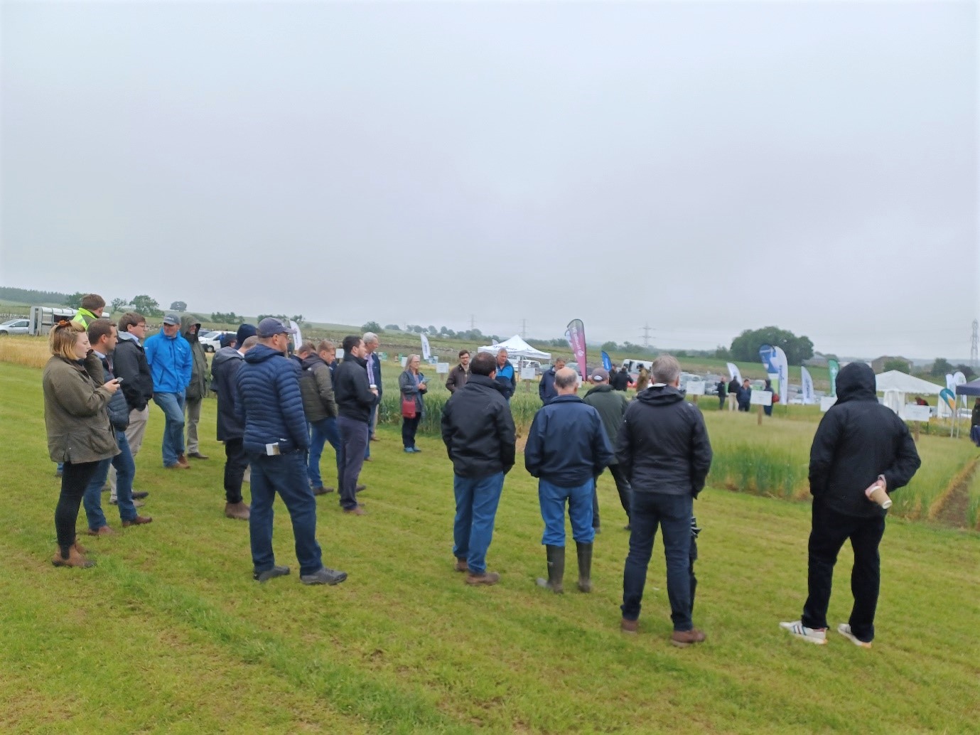 One of the farmer groups touring the variety plots at Arable Scotland.